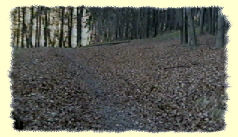 der Abzweig zur Bodemehrkanzel und nach Schlössel